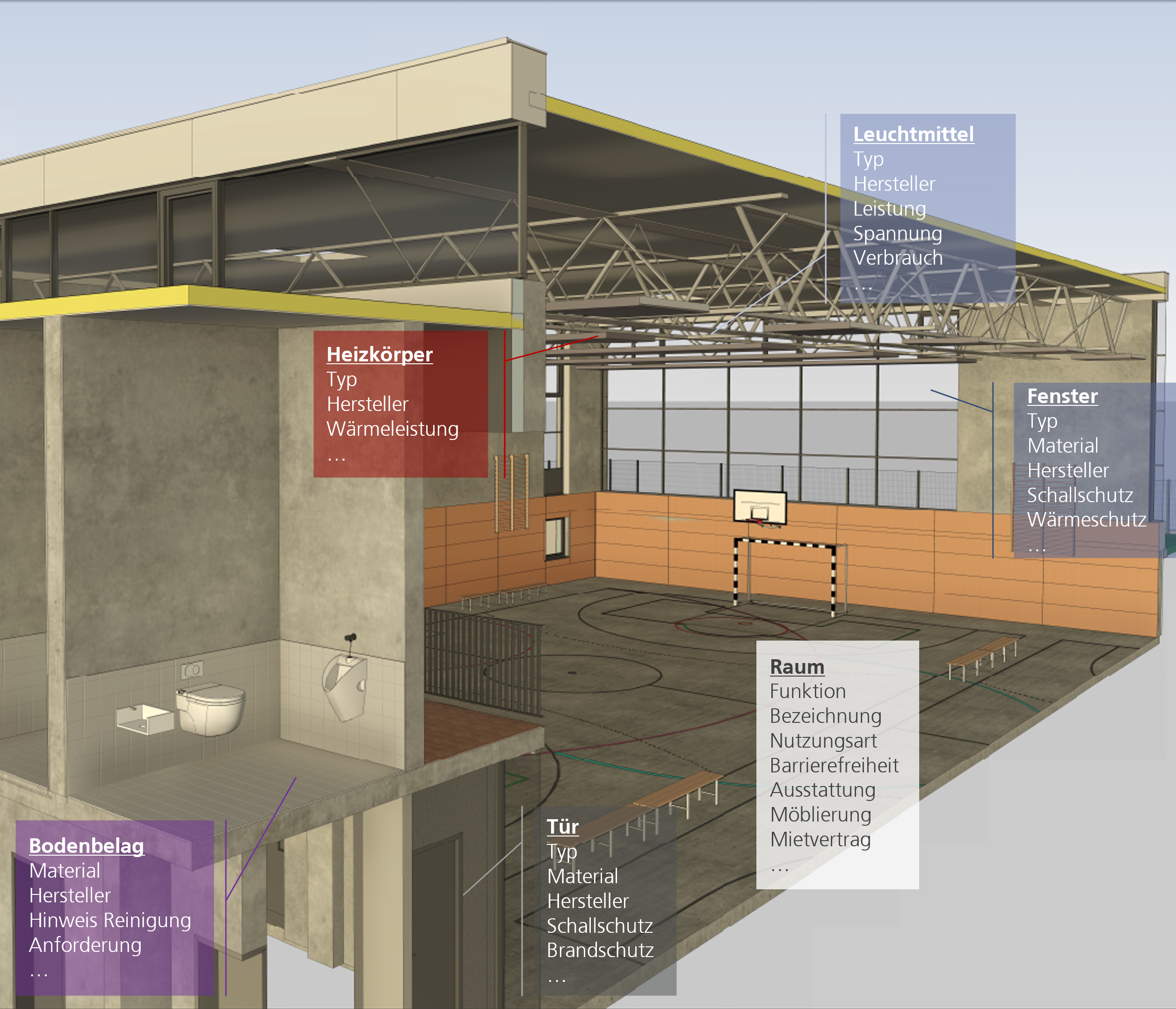 Schnittdarstellung einer Sporthalle mit Beschriftungen zu Heizkörper, Leuchtmittel, Fenster, Bodenbelag, Tür und Raum in farblich hinterlegten Textfeldern