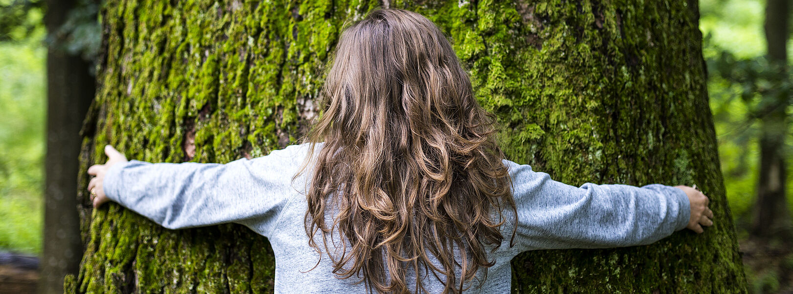 Kind mit langen braunen Haaren umarmt einen großen Baumstamm im Wald