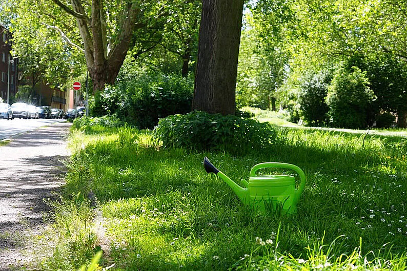 Grüne Gießkanne steht auf einer grasbewachsenen Fläche neben einem Baum an einem sonnigen Weg