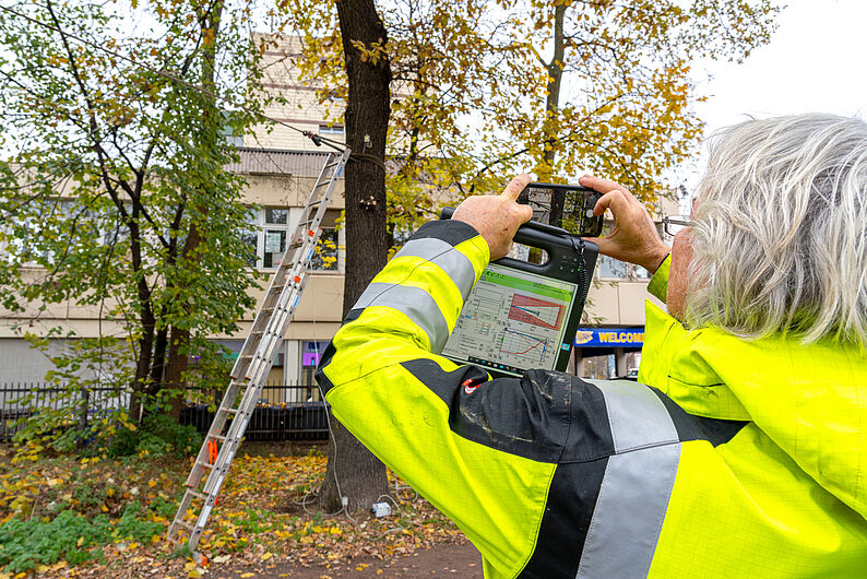 Person mit grauen Haaren und gelb-schwarzer Warnjacke fotografiert mit Smartphone einem Baum, an dem eine Leiter lehnt