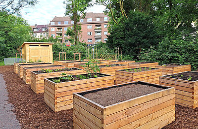 Mehrere rechteckige Hochbeete aus Holz stehen auf einem mit Mulch bedeckten Boden vor einem kleinen Holzhaus und einem Hintergrund aus Bäumen und Wohngebäuden