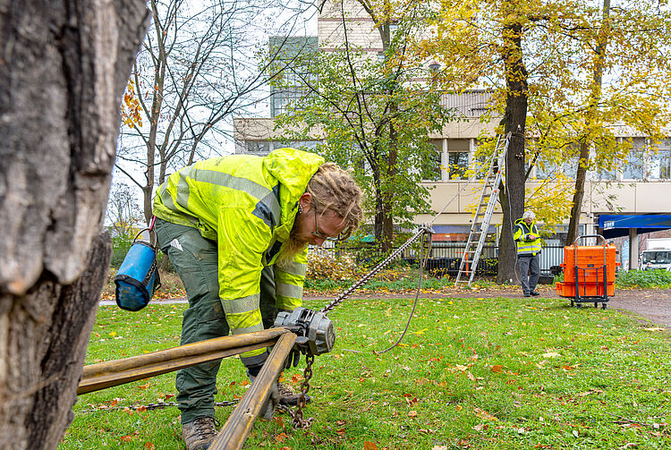 Person in gelber Warnjacke beugt sich über eine Zugvorrichtung mit Kette, die zwei große Bäume miteinander verbindet. Im Hintergrund steht eine weitere Person neben einer Leiter und einem orangen Koffer