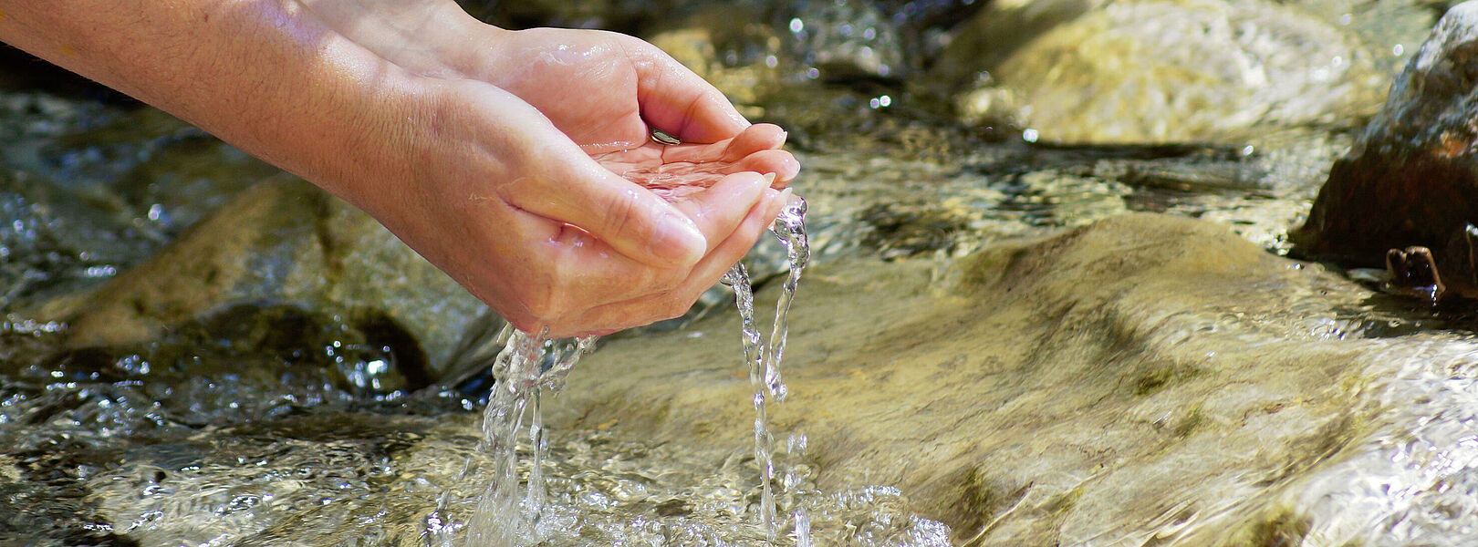 Zwei Hände schöpfen klares Wasser aus einem Bach mit Steinen