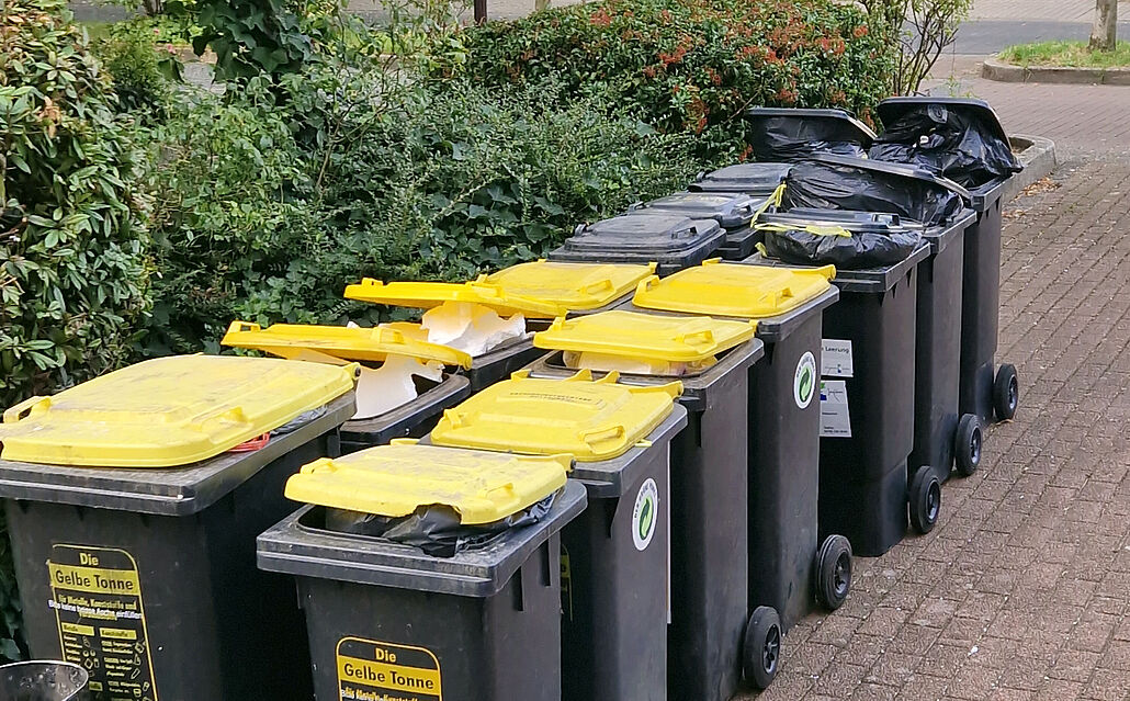 Mehrere Mülltonnen mit gelben Deckeln stehen auf einem Gehweg, umgeben von Büschen und Bäumen.