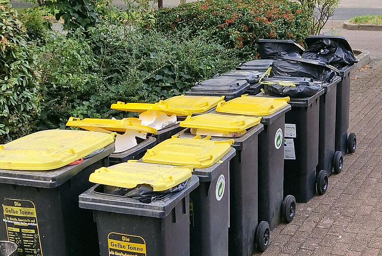 Mehrere Mülltonnen mit gelben Deckeln stehen auf einem Gehweg, umgeben von Büschen und Bäumen.