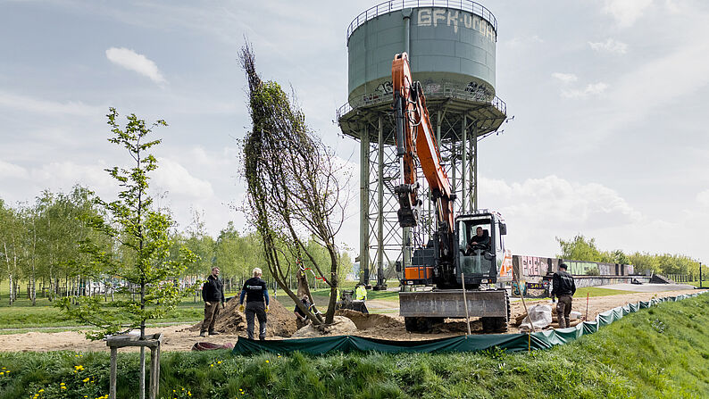 Bagger hebt Baum mit Wurzeln an, mehrere Personen stehen daneben, im Hintergrund ein großer Wasserturm