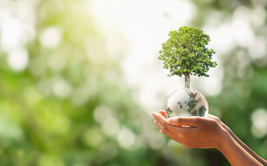 Zwei Hände halten eine kleine Weltkugel, aus der ein grüner Baum wächst, vor unscharf grünem Hintergrund