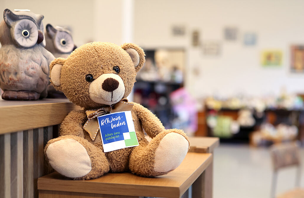 Brauner Teddybär mit schwarzer Nase und Schild 'Rheinladen' sitzt auf Holzregal neben zwei Eulenfiguren in einem hellen Laden