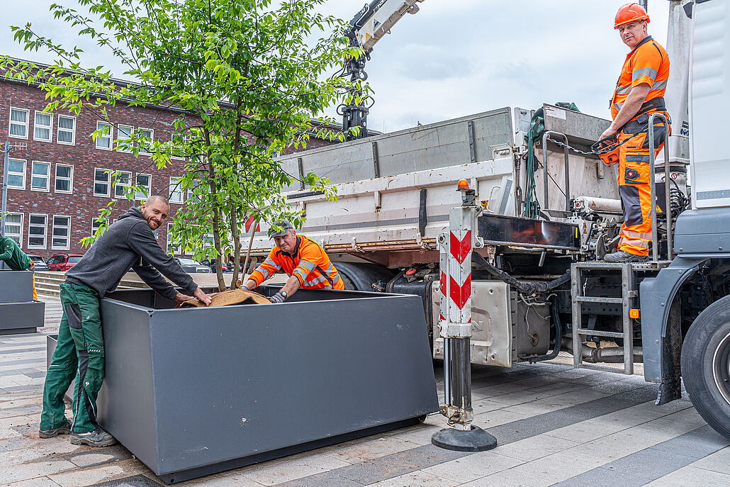 Drei Bauarbeiter in orangefarbener Schutzkleidung platzieren einen großen Pflanzkübel mit Baum neben einem Lastwagen auf einer Straße vor einem Backsteingebäude.