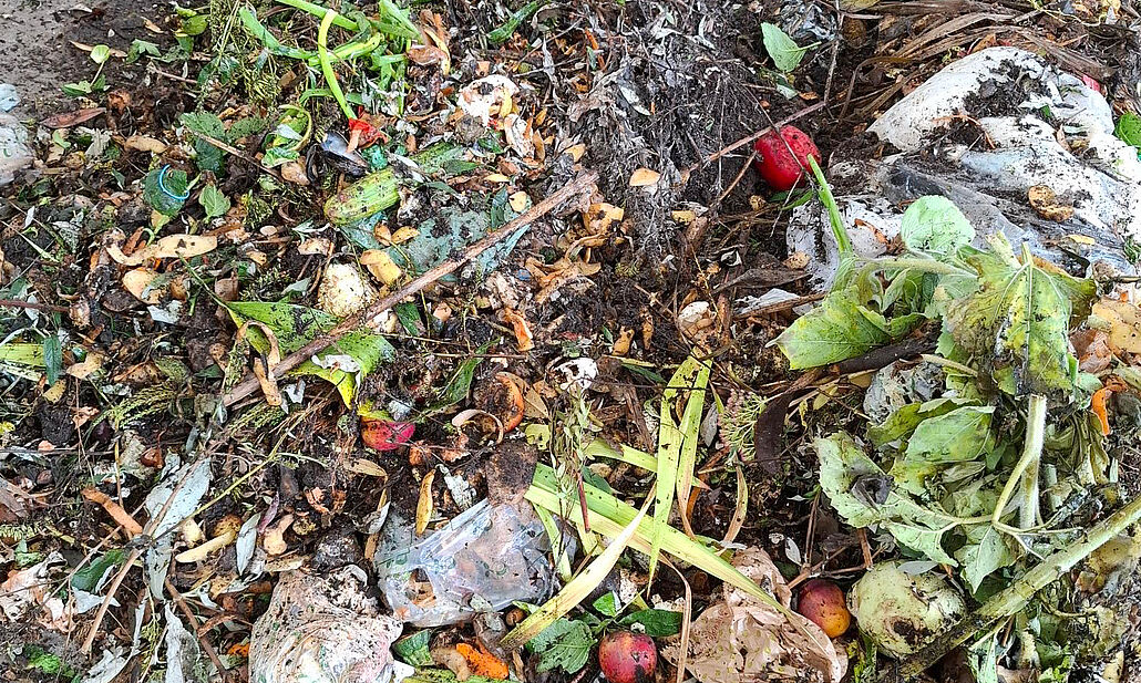 Biomüllhaufen mit verwesenden Obst- und Gemüseresten, Blättern und Erde.